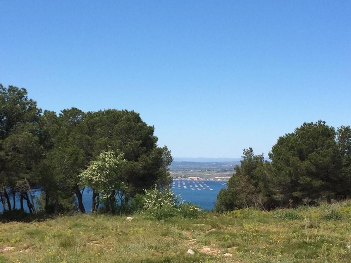 3P Climatise Avec Parking, Piscine, Proche Plage Et Commerces A Sete - Fr-1-338-497 Экстерьер фото